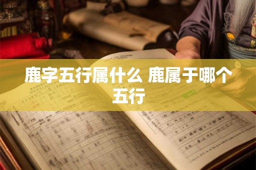 鹿字五行属什么 鹿属于哪个五行 鹿字五行属什么 鹿属于哪个五行