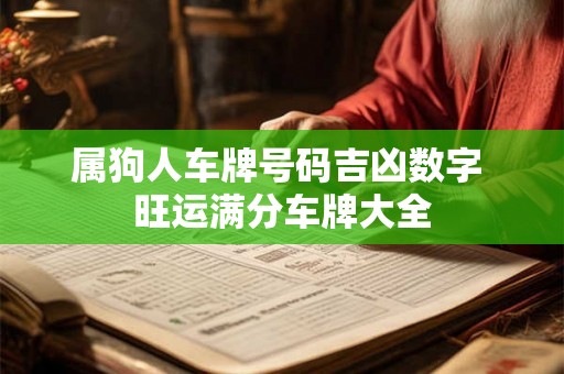 属狗人车牌号码吉凶数字 旺运满分车牌大全