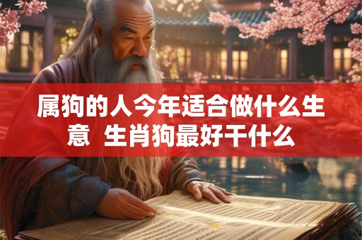 属狗的人今年适合做什么生意  生肖狗最好干什么