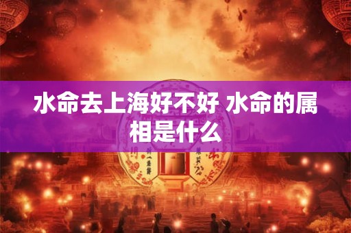 水命去上海好不好 水命的属相是什么