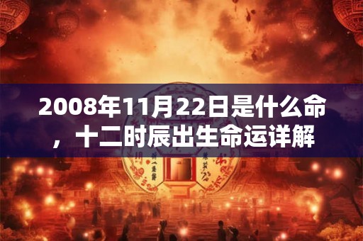 2008年11月22日是什么命，十二时辰出生命运详解