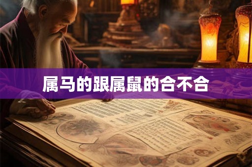 属马的跟属鼠的合不合