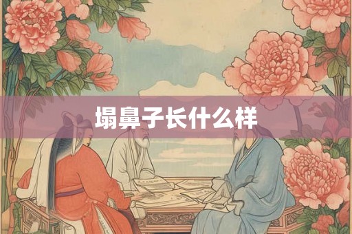 塌鼻子长什么样