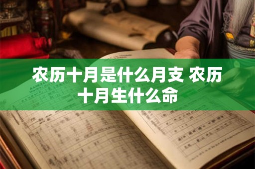 农历十月是什么月支 农历十月生什么命