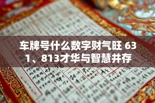 车牌号什么数字财气旺 631、813才华与智慧并存 车牌号什么数字财气旺 631、813才华与智慧并存