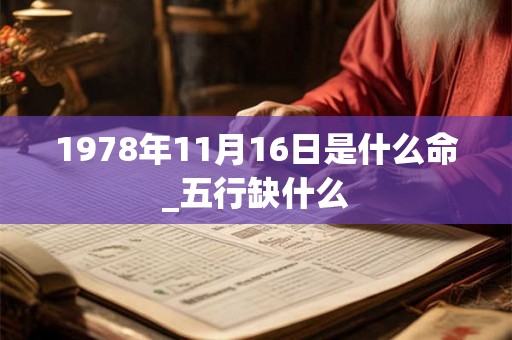 1978年11月16日是什么命_五行缺什么
