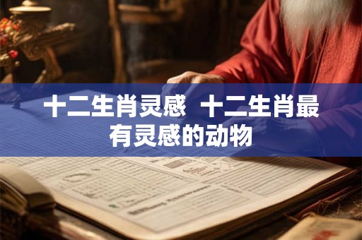 十二生肖灵感  十二生肖最有灵感的动物