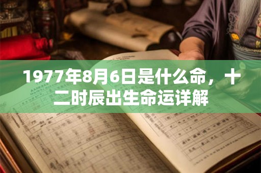 1977年8月6日是什么命，十二时辰出生命运详解