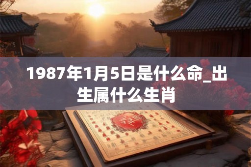 1987年1月5日是什么命_出生属什么生肖