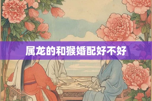属龙的和猴婚配好不好