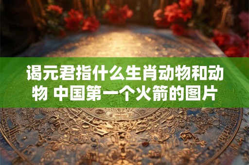 谒元君指什么生肖动物和动物 中国第一个火箭的图片