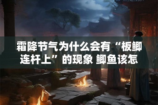 霜降节气为什么会有“板鲫连杆上”的现象 鲫鱼该怎么钓 霜降节气为什么会有“板鲫连杆上”的现象 鲫鱼该怎么钓