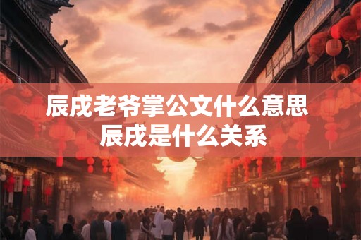 辰戌老爷掌公文什么意思  辰戌是什么关系