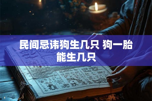 民间忌讳狗生几只 狗一胎能生几只