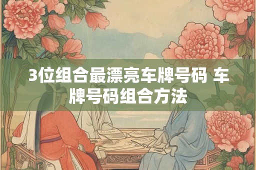 3位组合最漂亮车牌号码 车牌号码组合方法