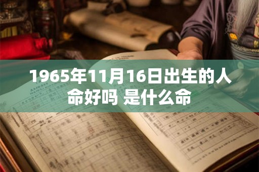 1965年11月16日出生的人命好吗 是什么命 1965年11月16日出生的人命好吗 是什么命