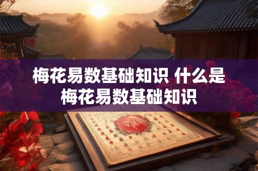 梅花易数基础知识 什么是梅花易数基础知识 梅花易数基础知识 什么是梅花易数基础知识