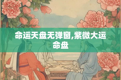 命运天盘无弹窗,紫微大运命盘