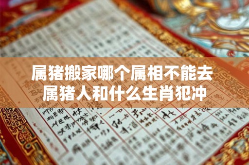 属猪搬家哪个属相不能去 属猪人和什么生肖犯冲