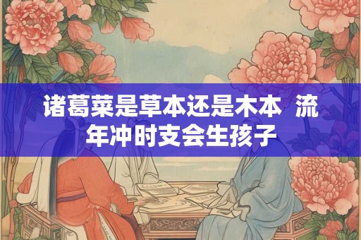 诸葛菜是草本还是木本 流年冲时支会生孩子 诸葛菜是草本还是木本 流年冲时支会生孩子