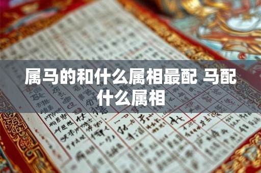 属马的和什么属相最配 马配什么属相