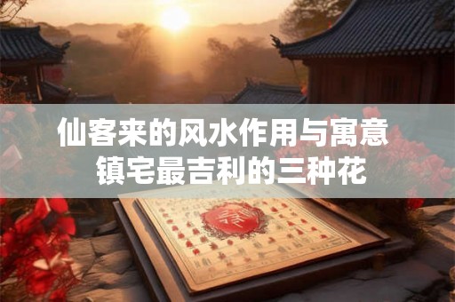仙客来的风水作用与寓意  镇宅最吉利的三种花
