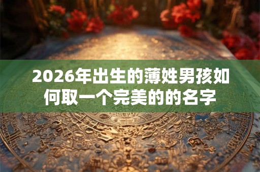 2026年出生的薄姓男孩如何取一个完美的的名字