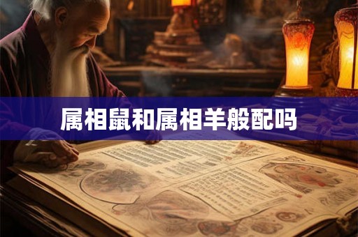 属相鼠和属相羊般配吗