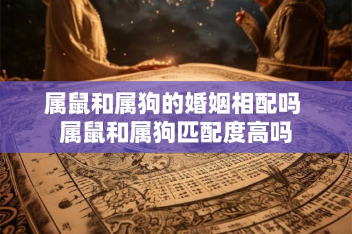 属鼠和属狗的婚姻相配吗 属鼠和属狗匹配度高吗