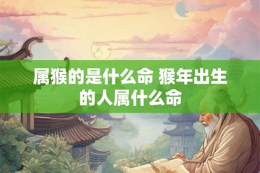 属猴的是什么命 猴年出生的人属什么命 属猴的是什么命 猴年出生的人属什么命