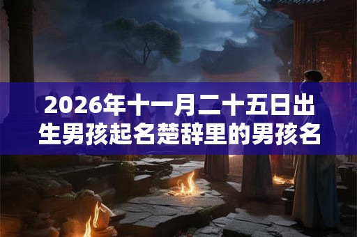 2026年十一月二十五日出生男孩起名楚辞里的男孩名字