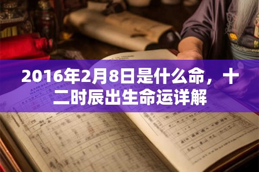 2016年2月8日是什么命，十二时辰出生命运详解
