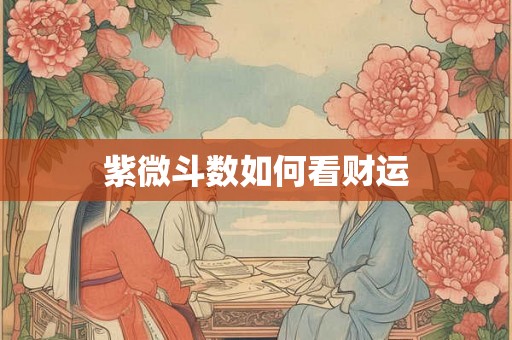 紫微斗数如何看财运 紫微斗数如何看财运