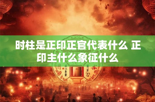 时柱是正印正官代表什么 正印主什么象征什么 时柱是正印正官代表什么 正印主什么象征什么