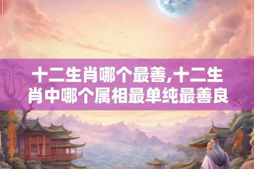 十二生肖哪个最善,十二生肖中哪个属相最单纯最善良