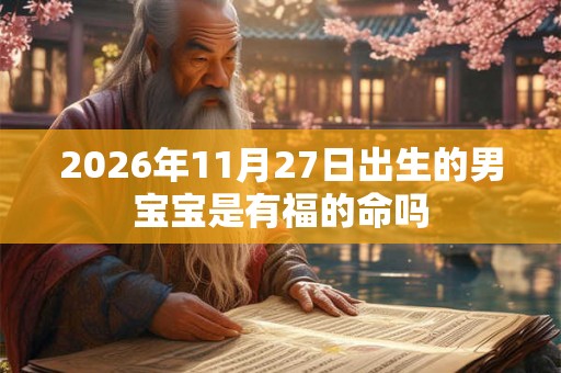 2026年11月27日出生的男宝宝是有福的命吗