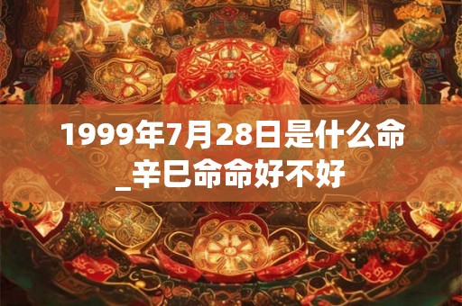 1999年7月28日是什么命_辛巳命命好不好 1999年7月28日是什么命_辛巳命命好不好