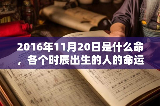 2016年11月20日是什么命，各个时辰出生的人的命运