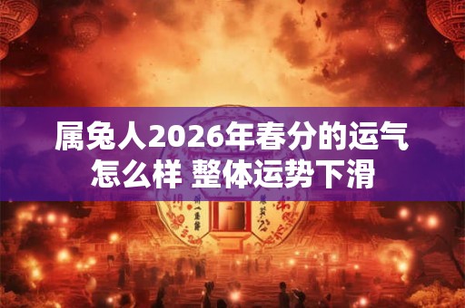 属兔人2026年春分的运气怎么样 整体运势下滑