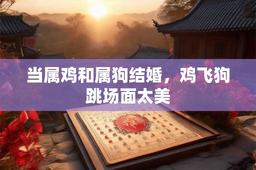 当属鸡和属狗结婚，鸡飞狗跳场面太美
