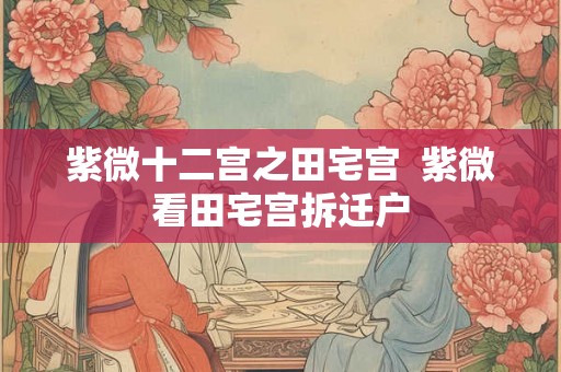 紫微十二宫之田宅宫  紫微看田宅宫拆迁户