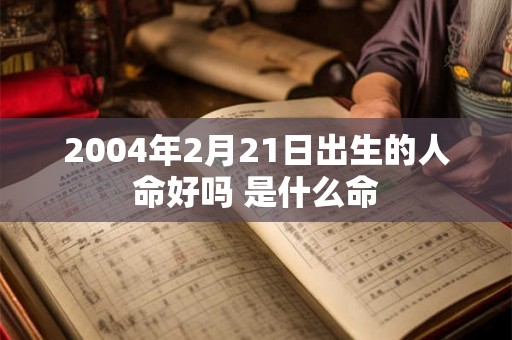 2004年2月21日出生的人命好吗 是什么命