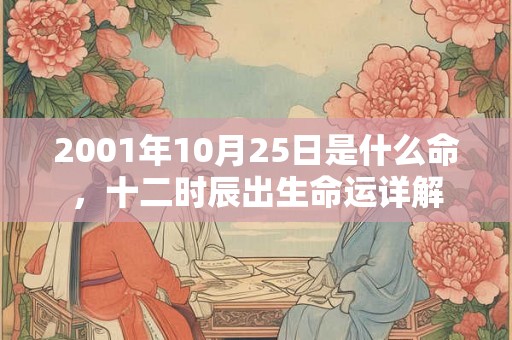 2001年10月25日是什么命，十二时辰出生命运详解