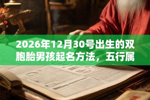 2026年12月30号出生的双胞胎男孩起名方法，五行属什么