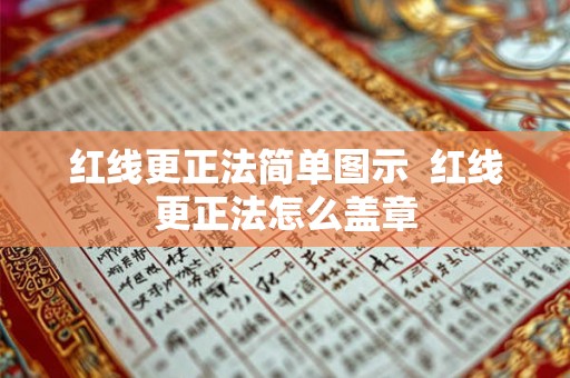 红线更正法简单图示  红线更正法怎么盖章