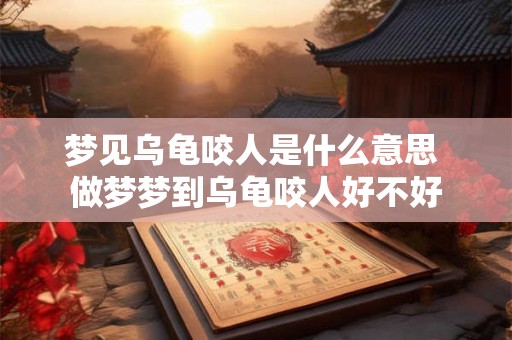 梦见乌龟咬人是什么意思 做梦梦到乌龟咬人好不好