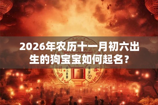 2026年农历十一月初六出生的狗宝宝如何起名？