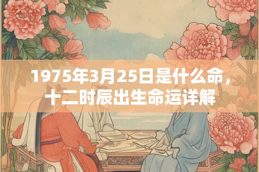 1975年3月25日是什么命，十二时辰出生命运详解