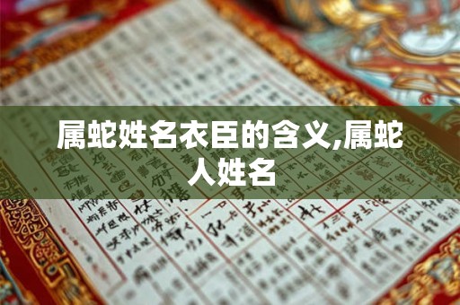 属蛇姓名衣臣的含义,属蛇人姓名