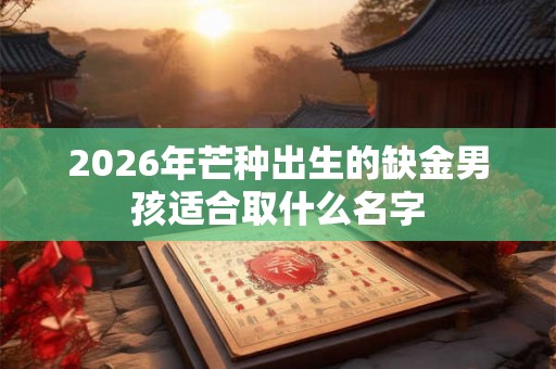 2026年芒种出生的缺金男孩适合取什么名字